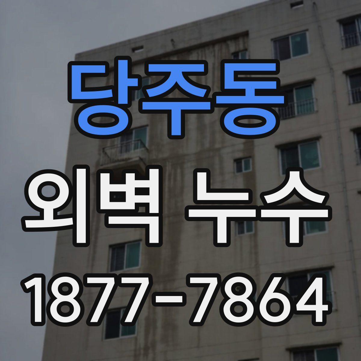 당주동 외벽 누수