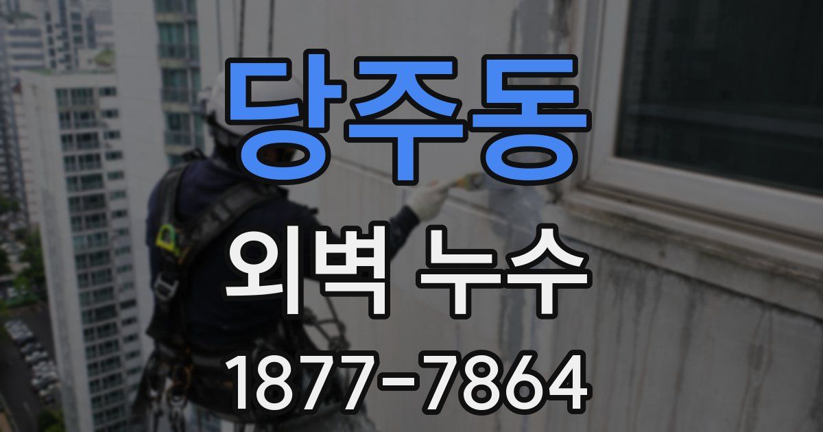 당주동 외벽 누수