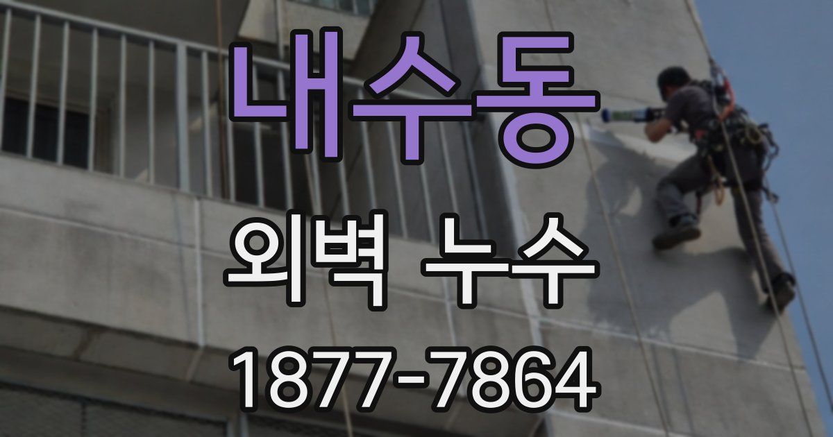 내수동 외벽 누수