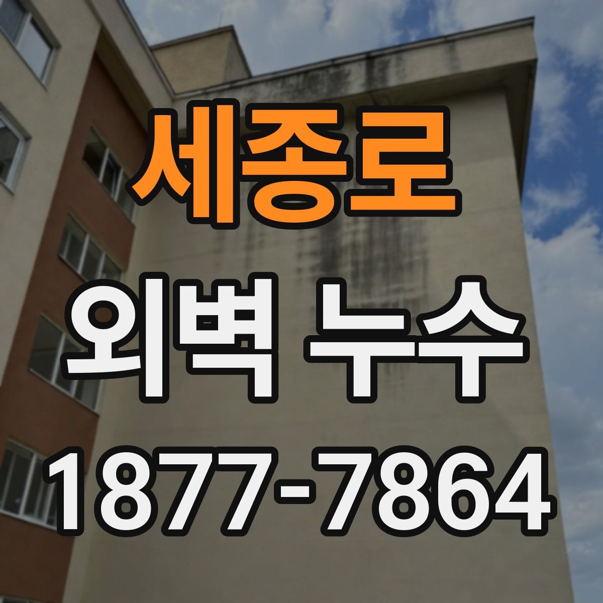 세종로 외벽 누수