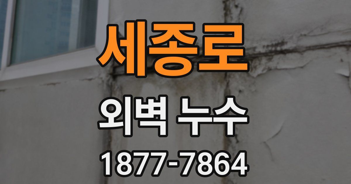 세종로 외벽 누수
