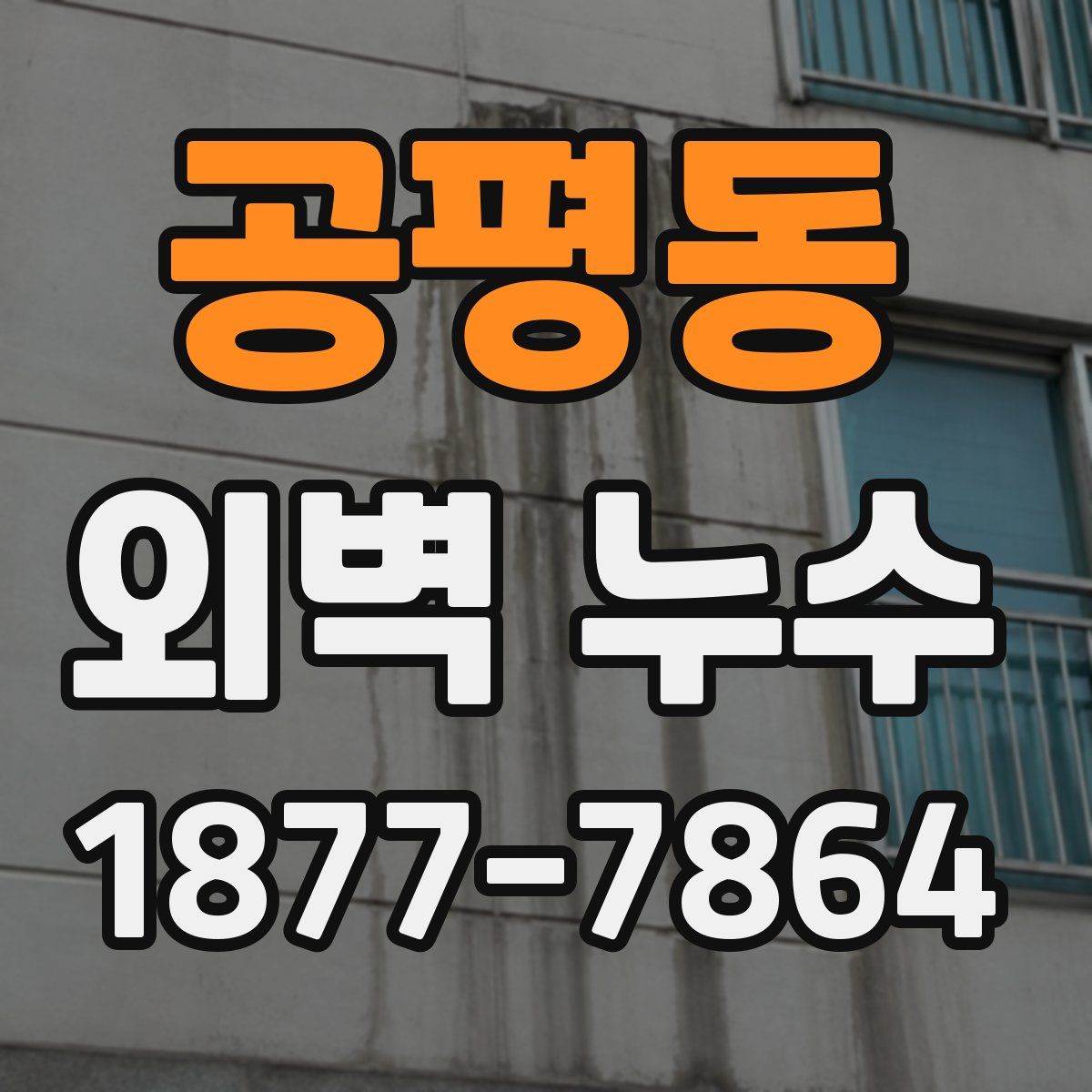 공평동 외벽 누수