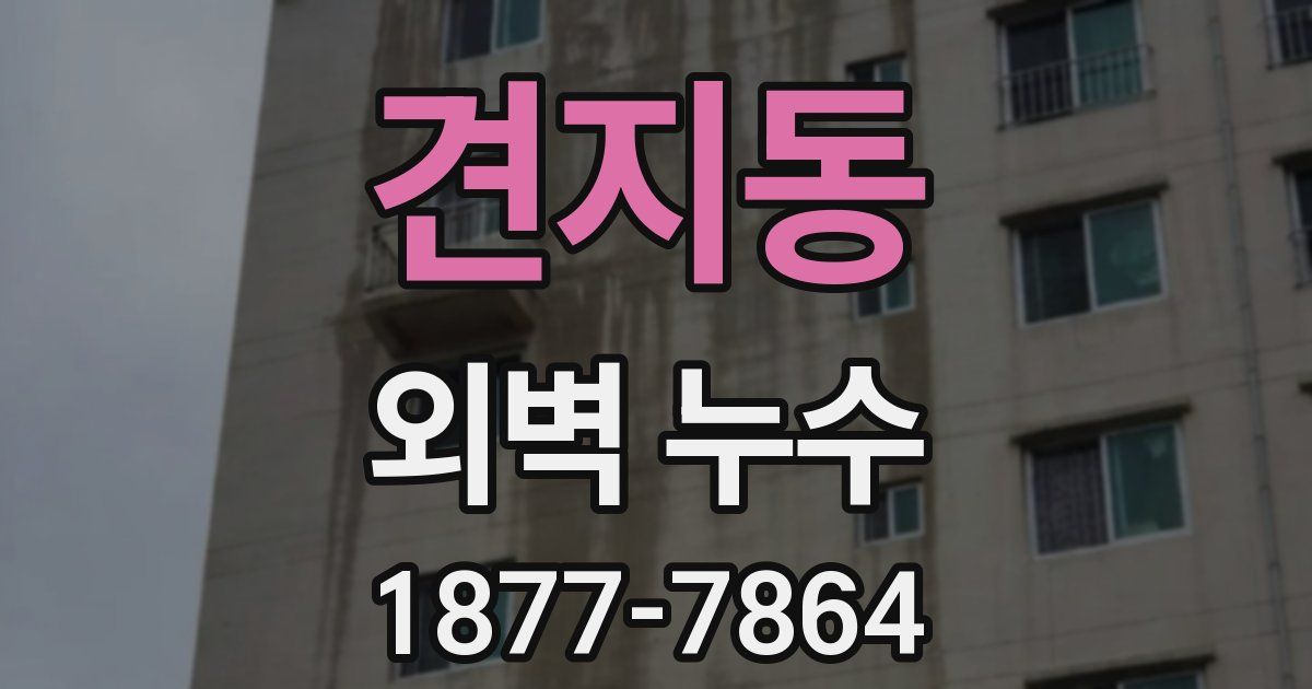 견지동 외벽 누수