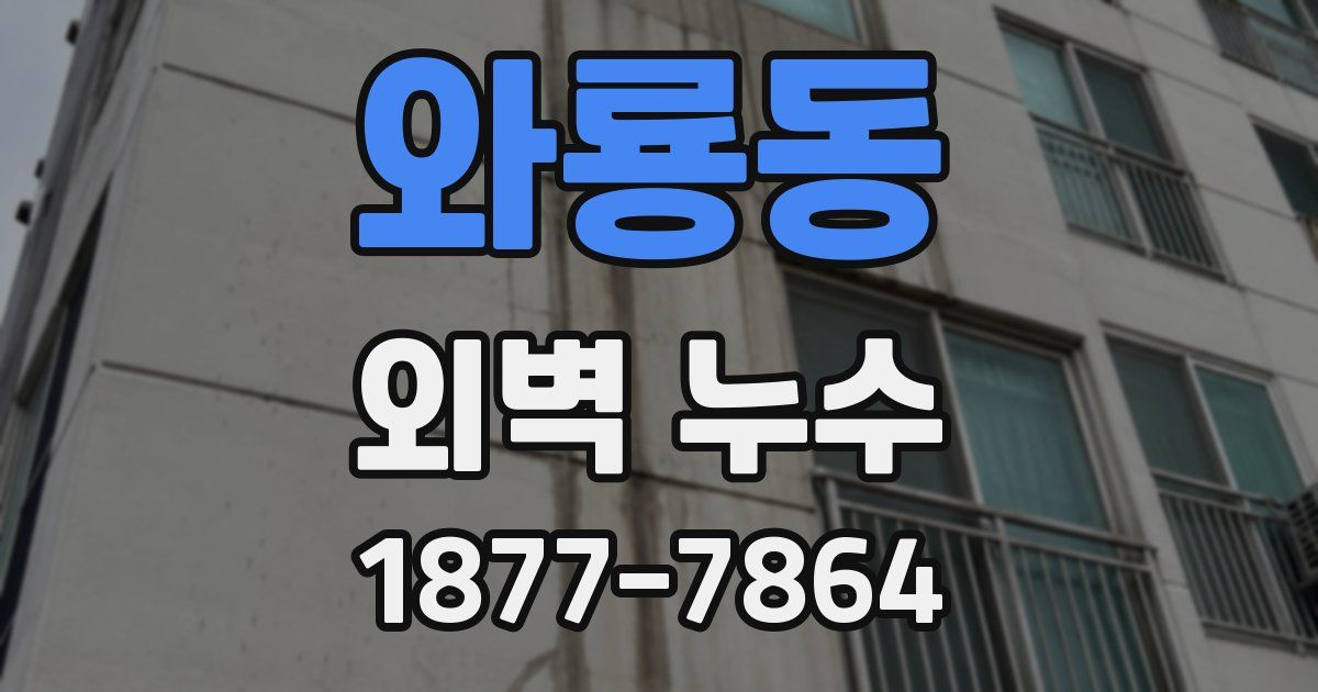 와룡동 외벽 누수