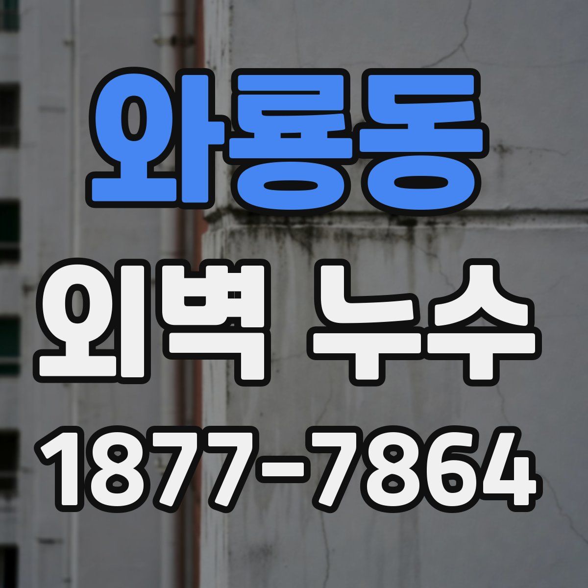 와룡동 외벽 누수