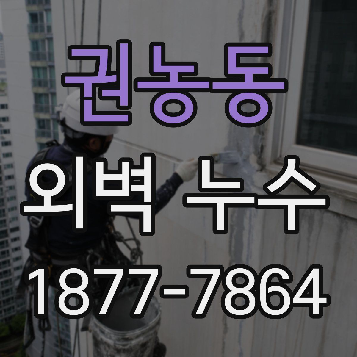 권농동 외벽 누수
