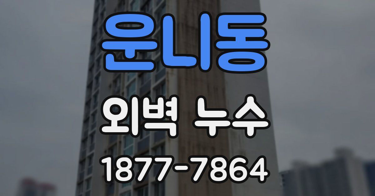 운니동 외벽 누수