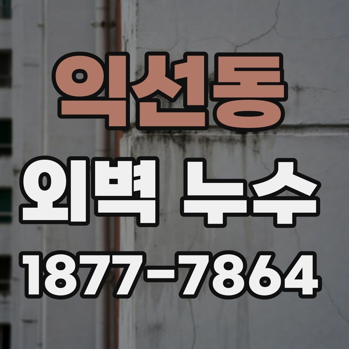 익선동 외벽 누수 처리 방식별 장단점 살펴보기