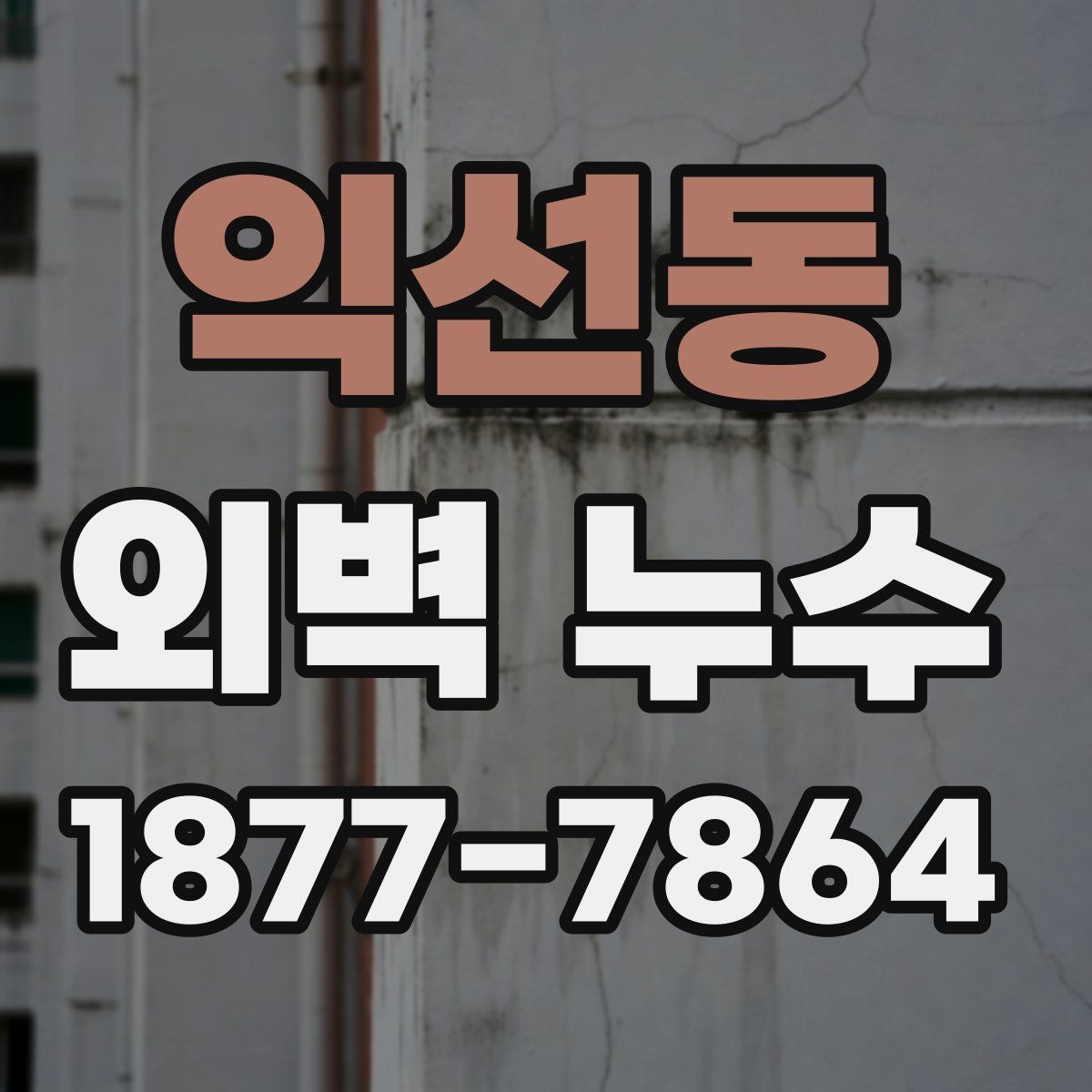 익선동 외벽 누수