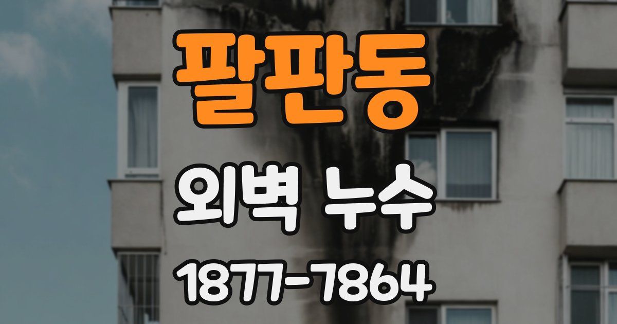 팔판동 외벽 누수