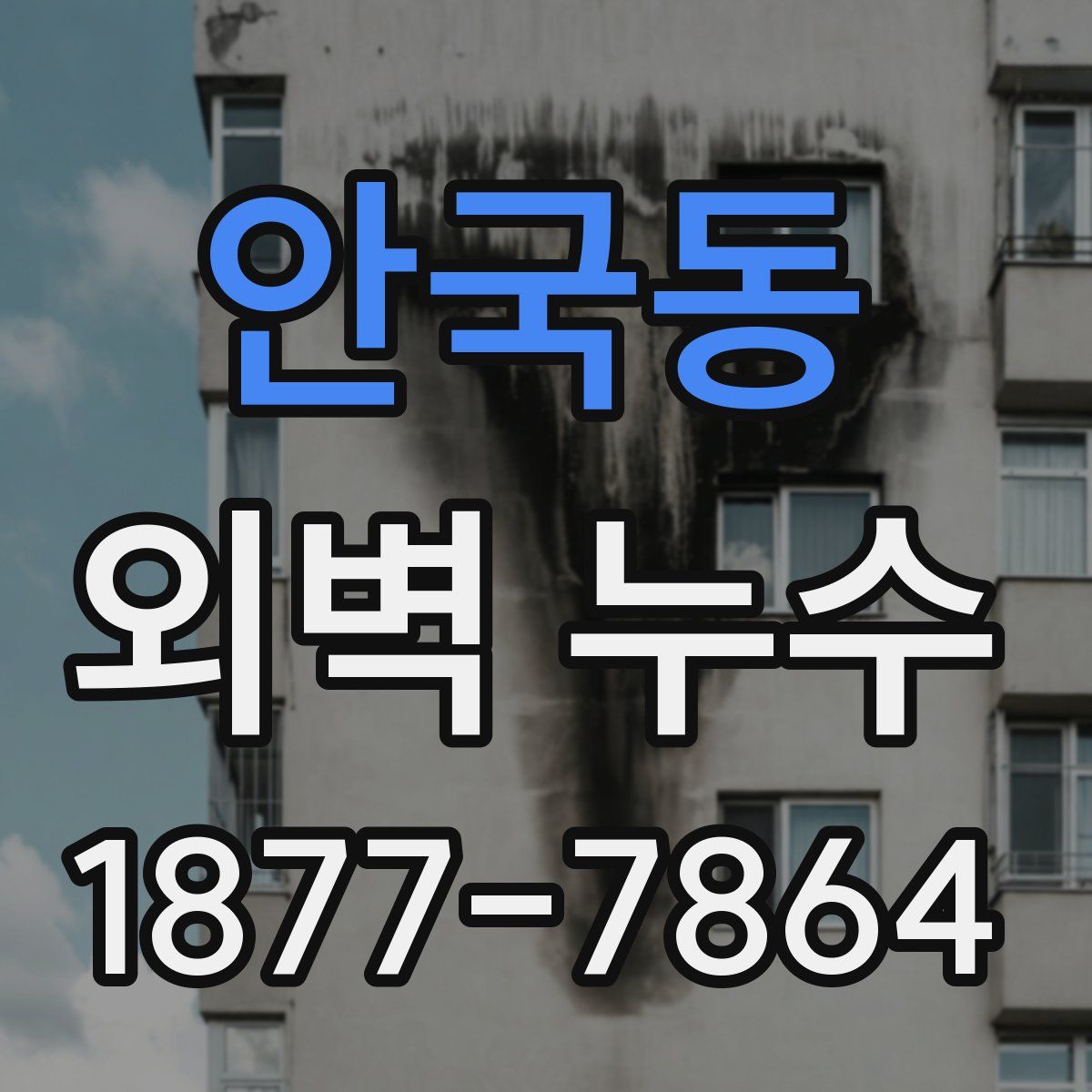 안국동 외벽 누수