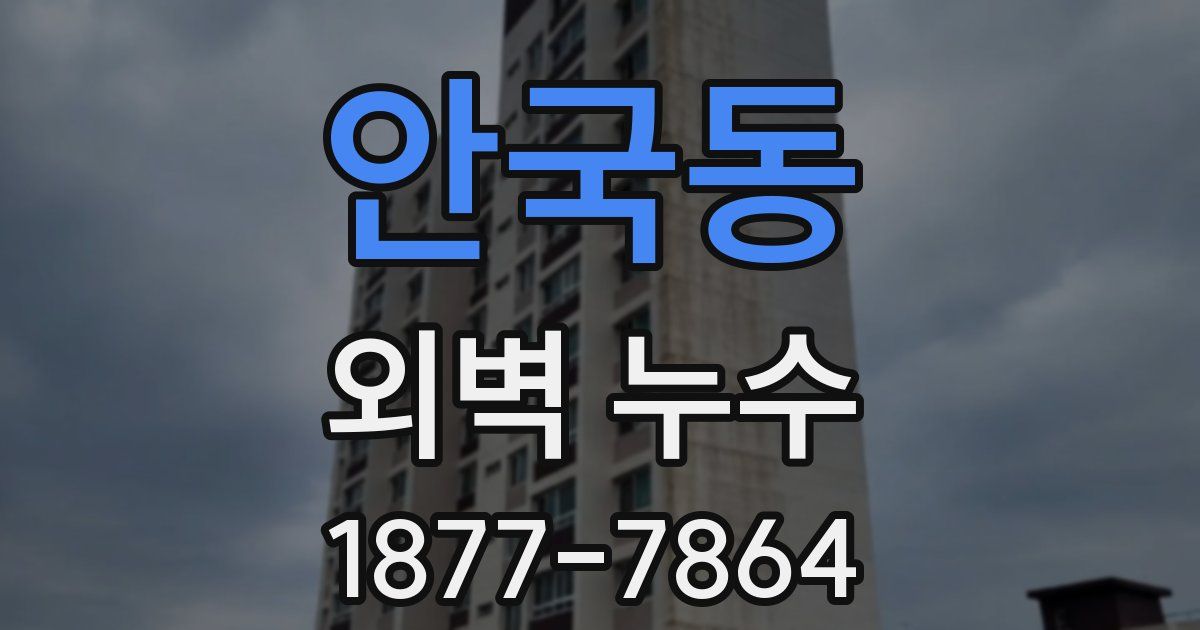 안국동 외벽 누수