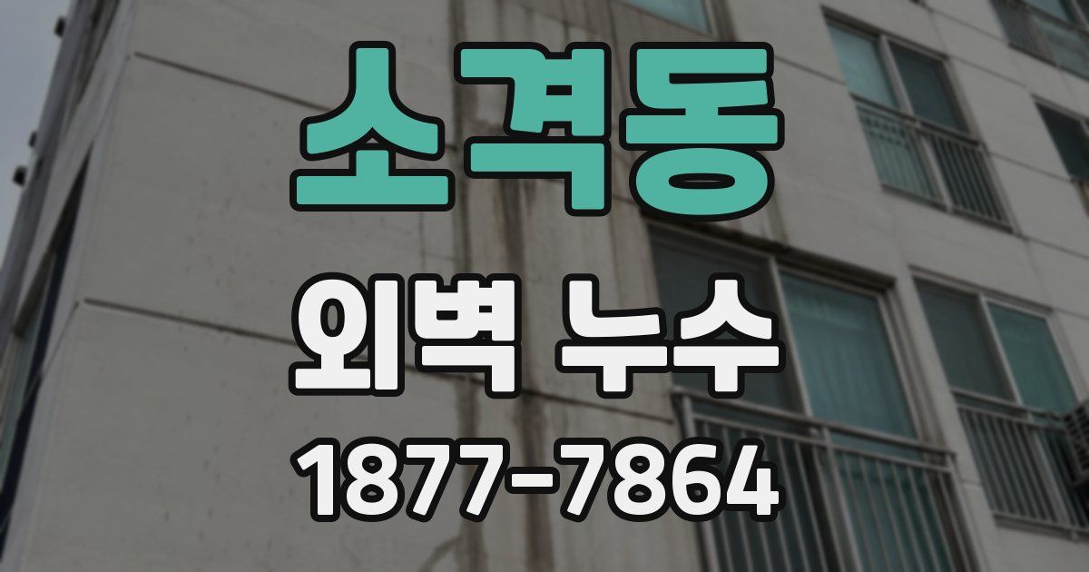 소격동 외벽 누수
