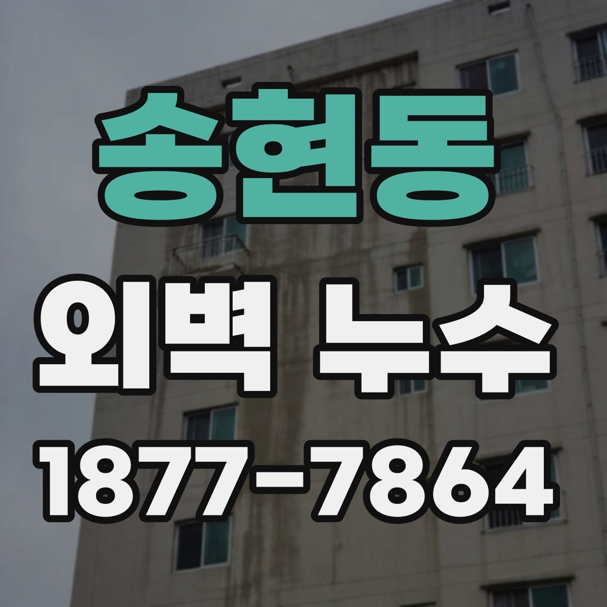 송현동 외벽 누수