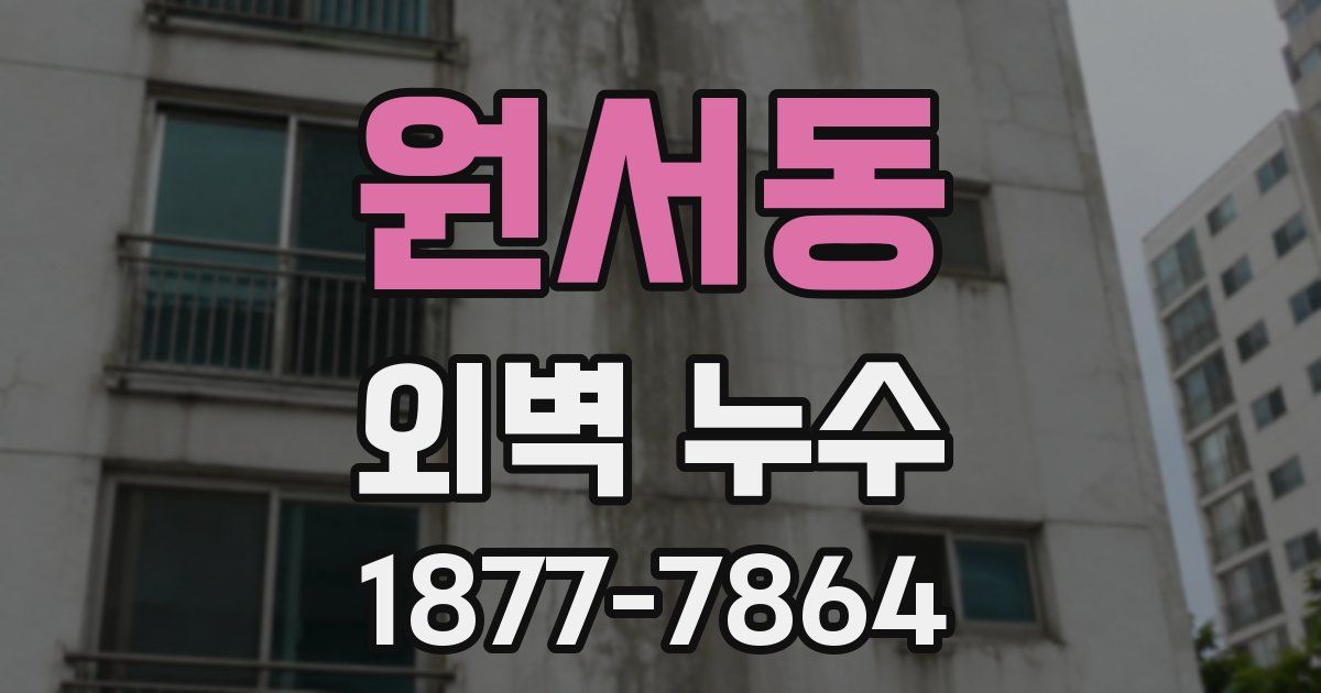 원서동 외벽 누수