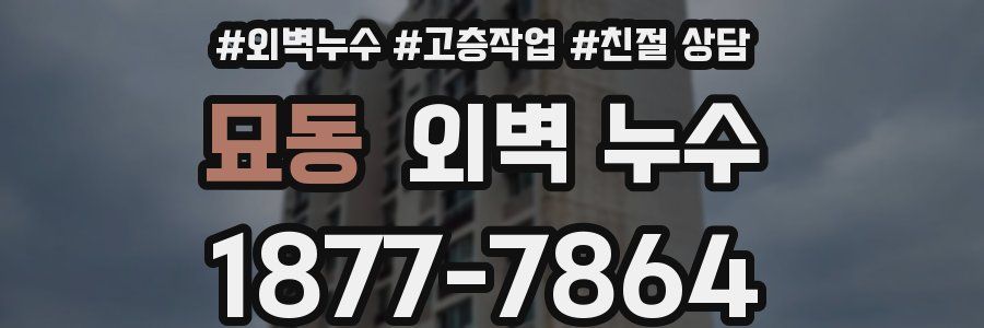 묘동 외벽 누수