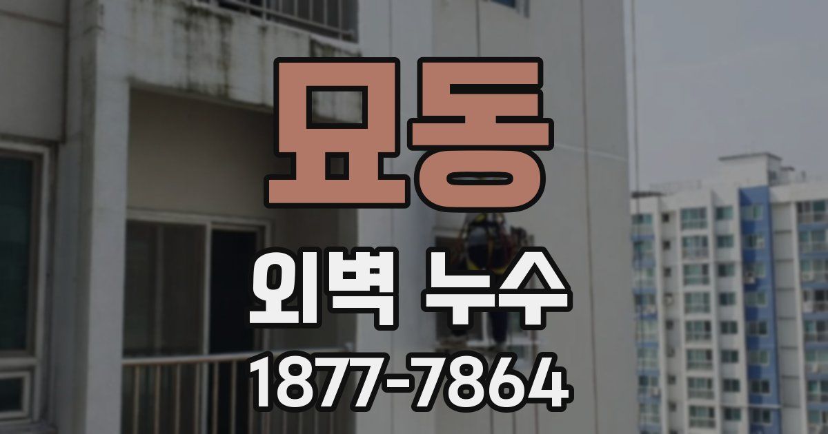 묘동 외벽 누수