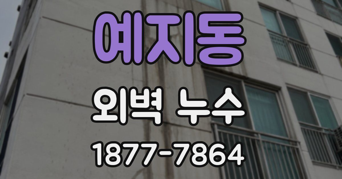 예지동 외벽 누수