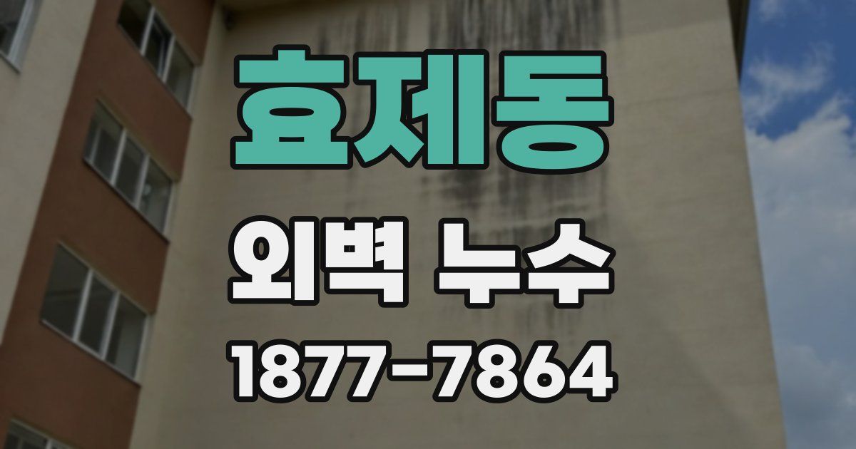 효제동 외벽 누수