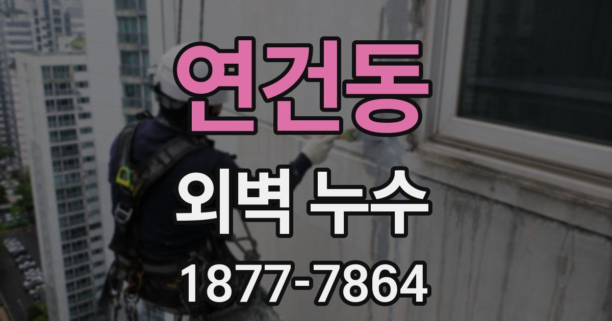연건동 외벽 누수