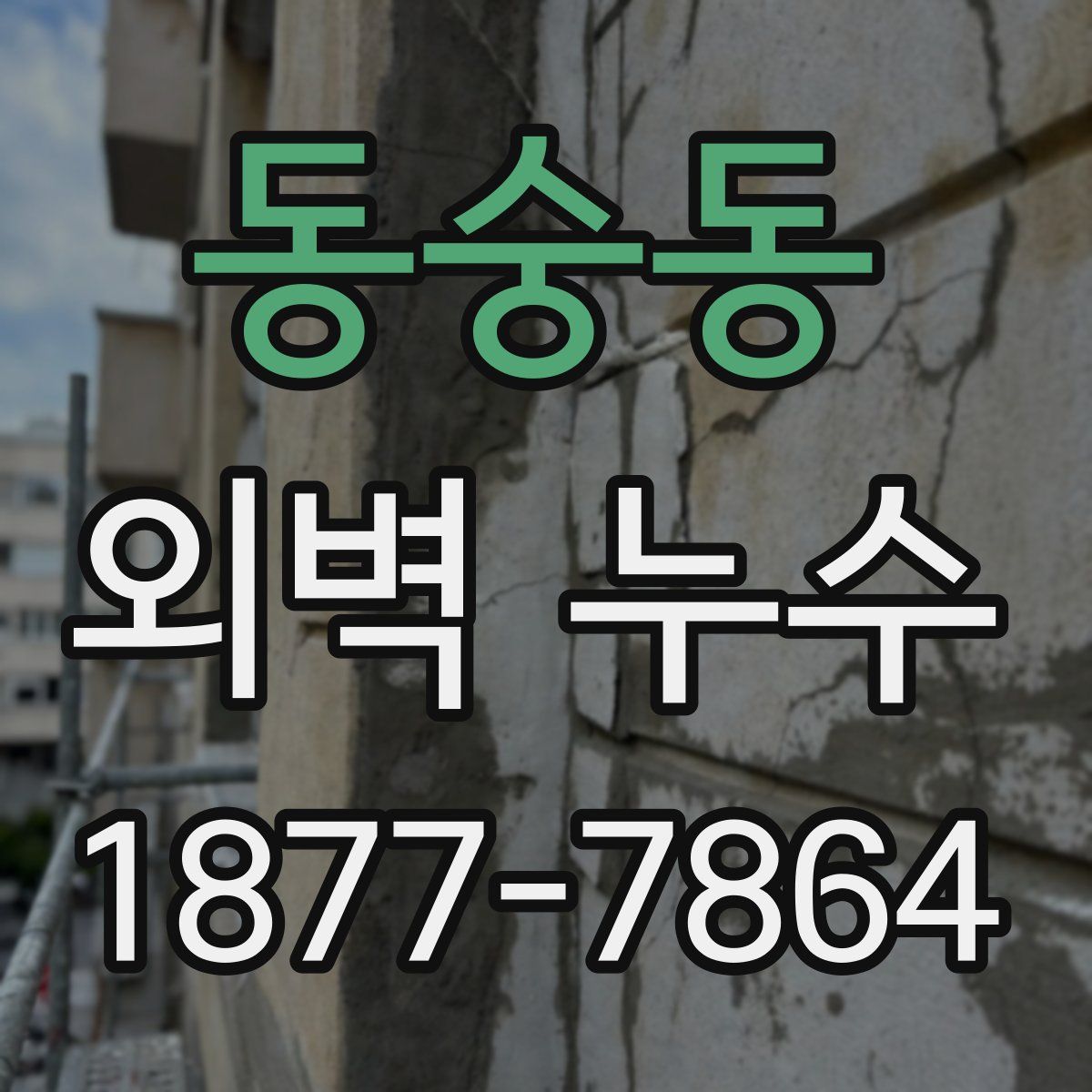 동숭동 외벽 누수