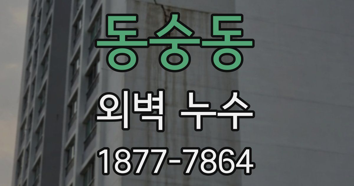 동숭동 외벽 누수