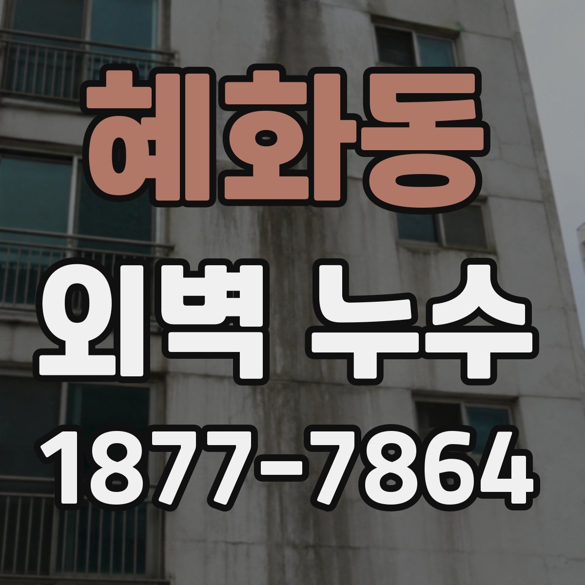 혜화동 외벽 누수