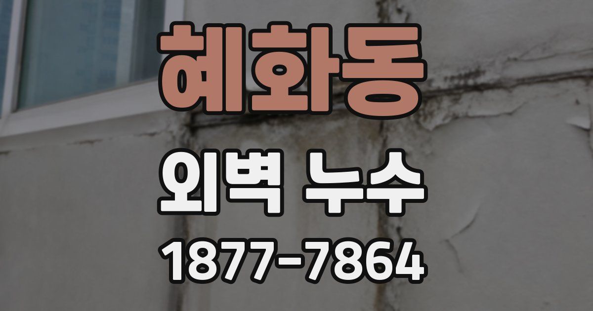혜화동 외벽 누수