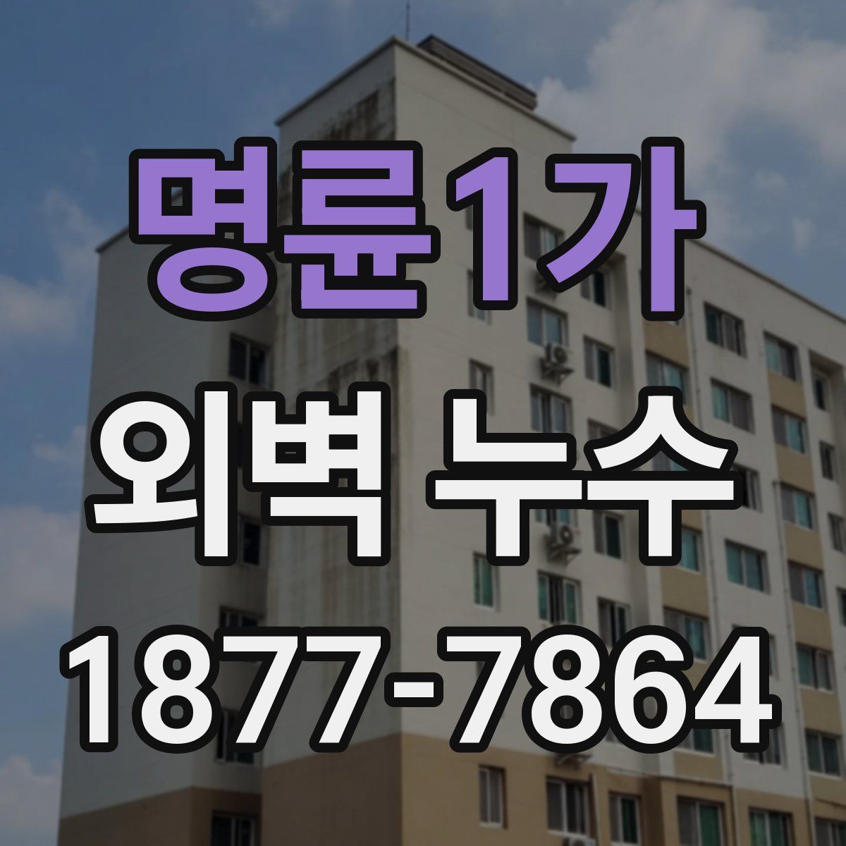 명륜1가 외벽 누수