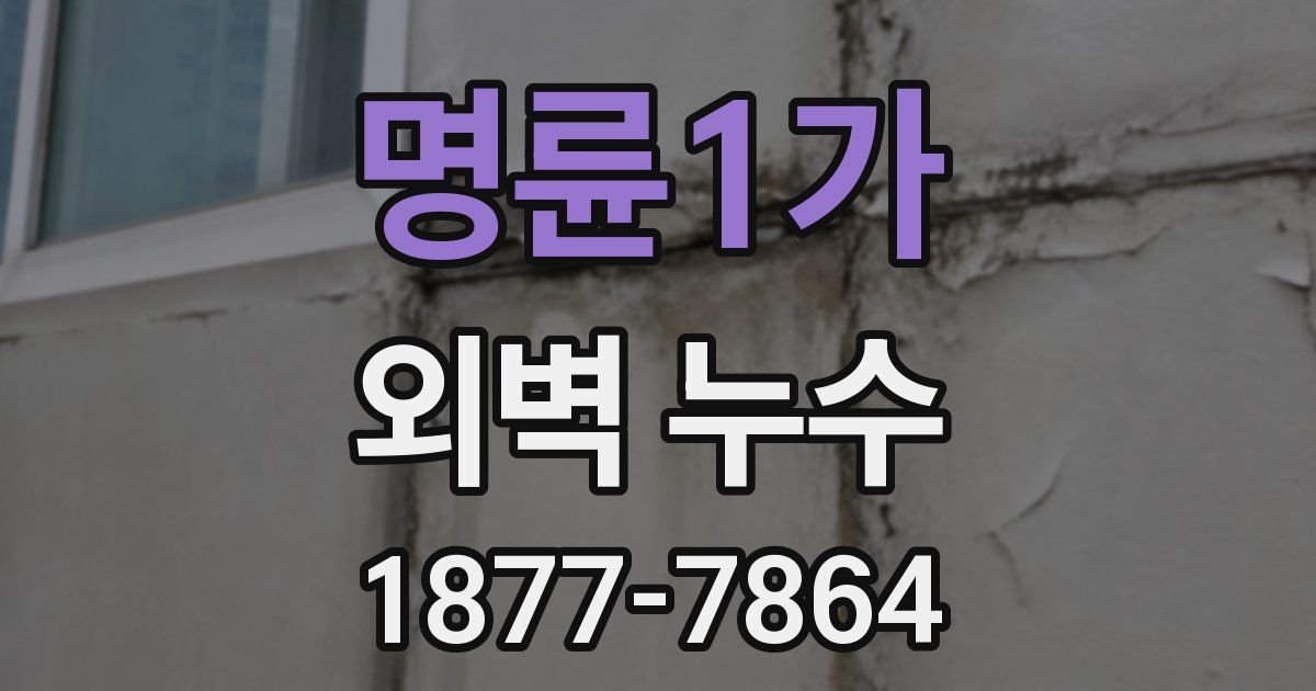명륜1가 외벽 누수