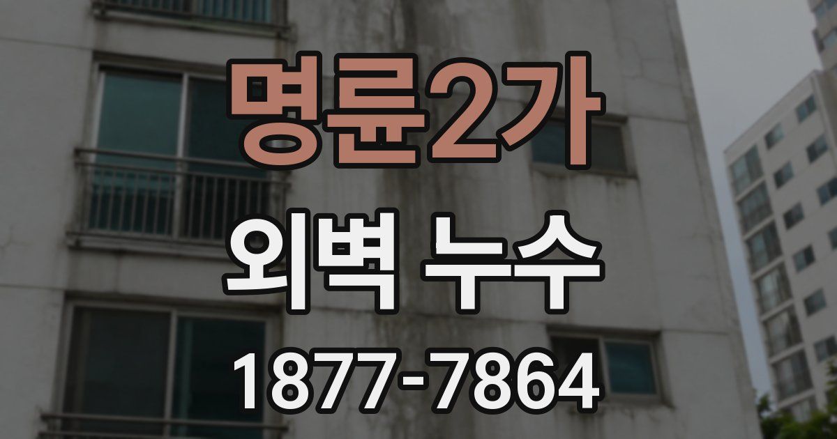 명륜2가 외벽 누수
