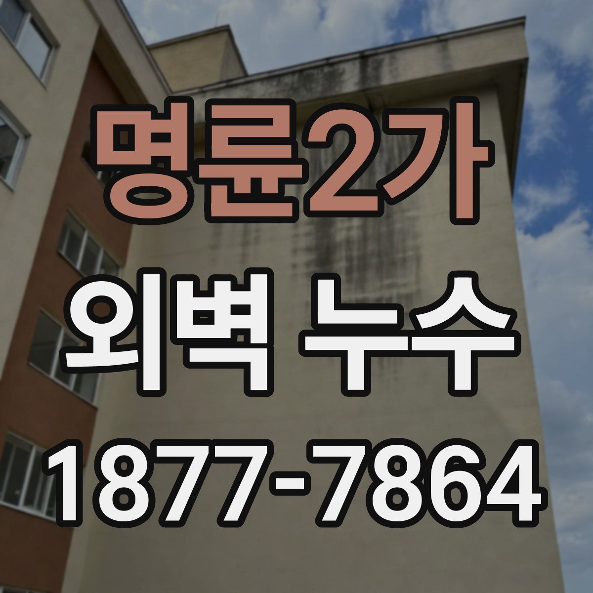 명륜2가 외벽 누수