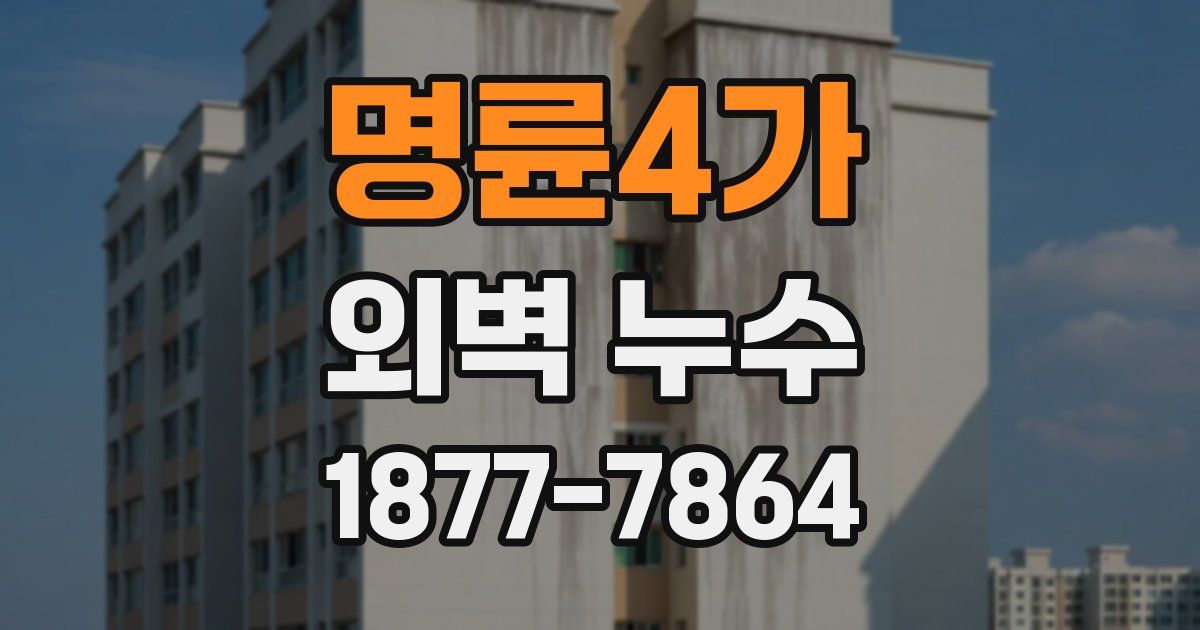 명륜4가 외벽 누수