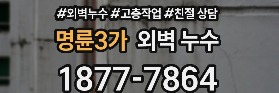 명륜3가 외벽 누수