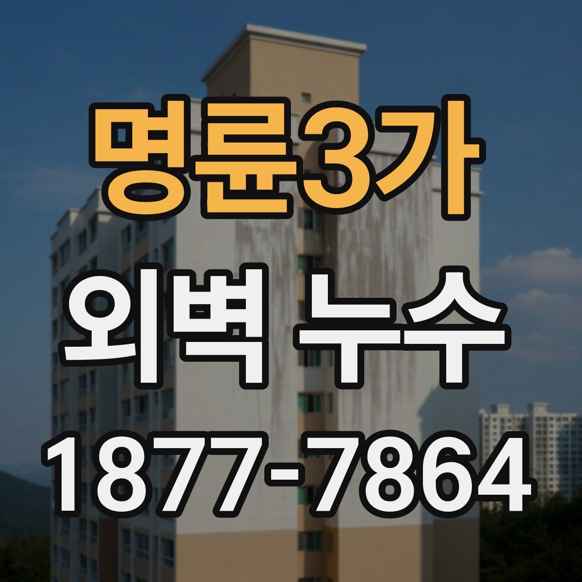 명륜3가 외벽 누수