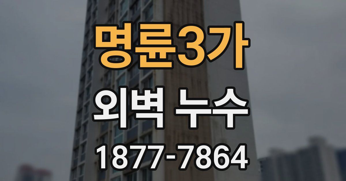 명륜3가 외벽 누수