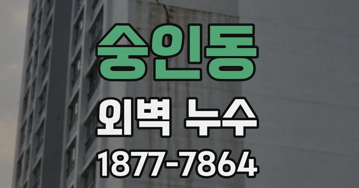 숭인동 외벽 누수
