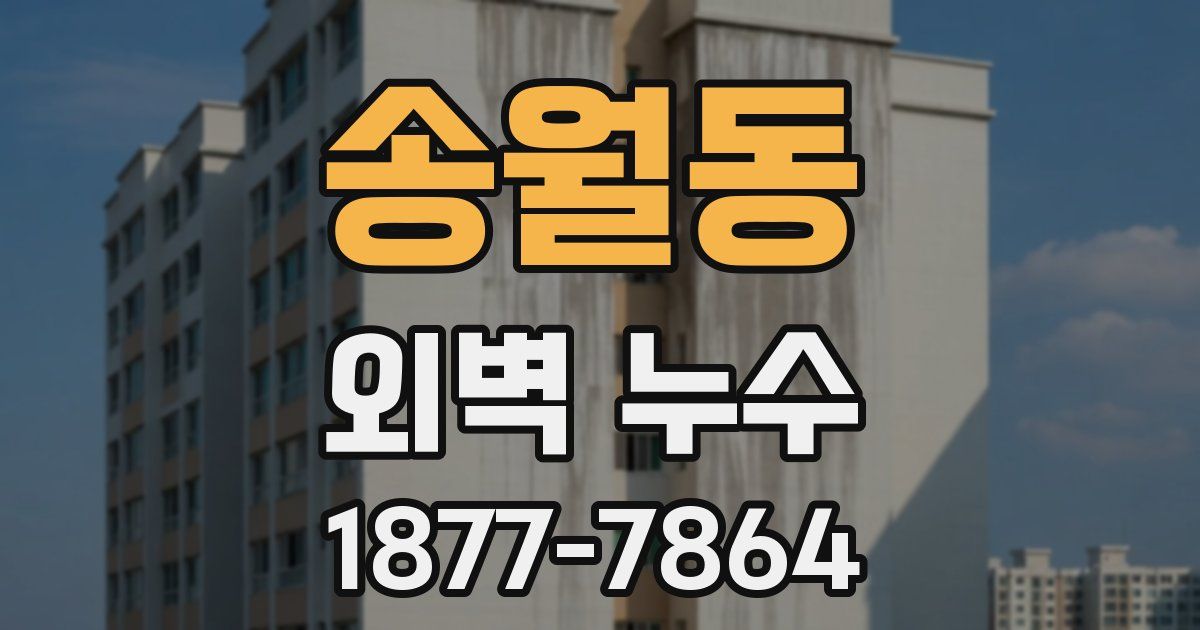 송월동 외벽 누수