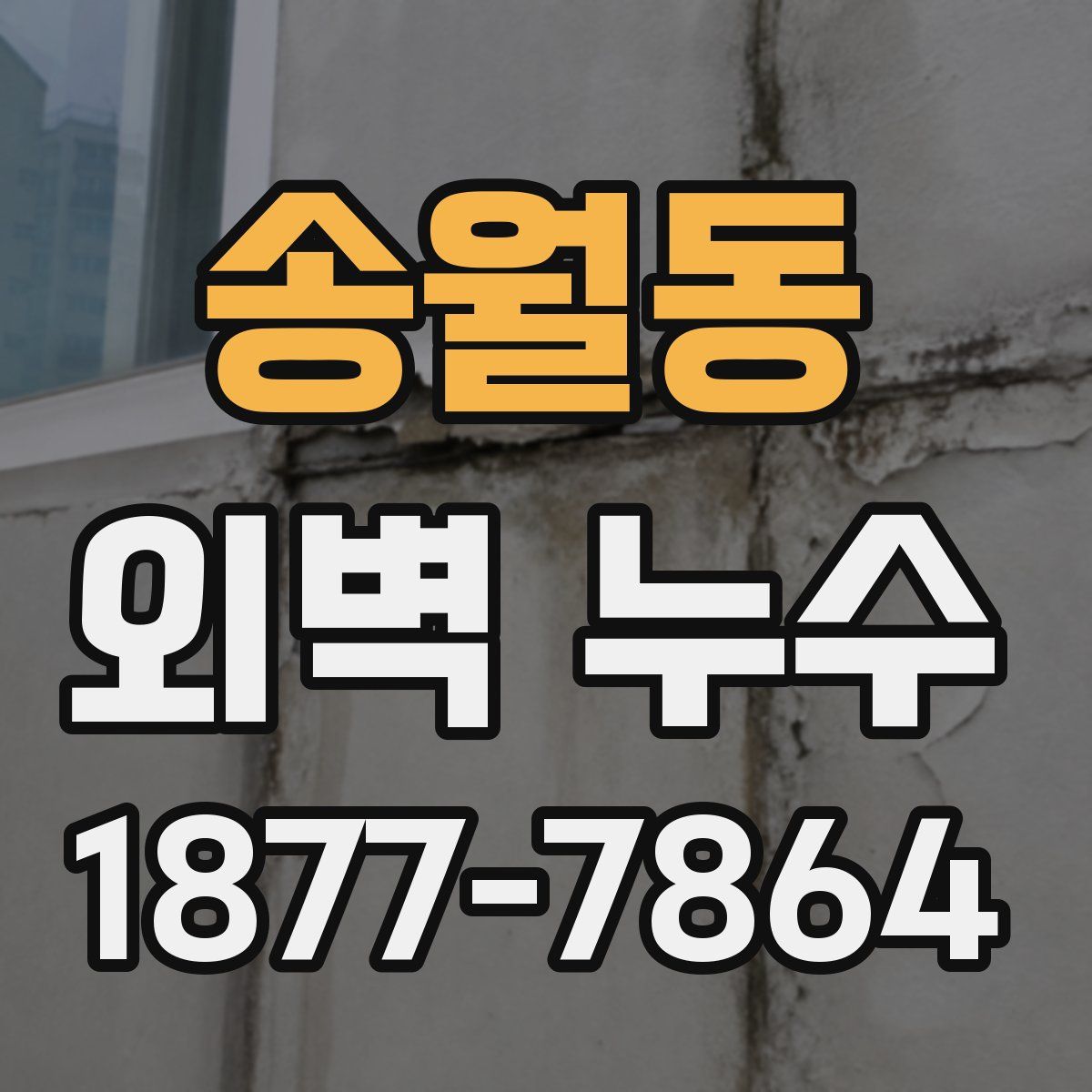 송월동 외벽 누수