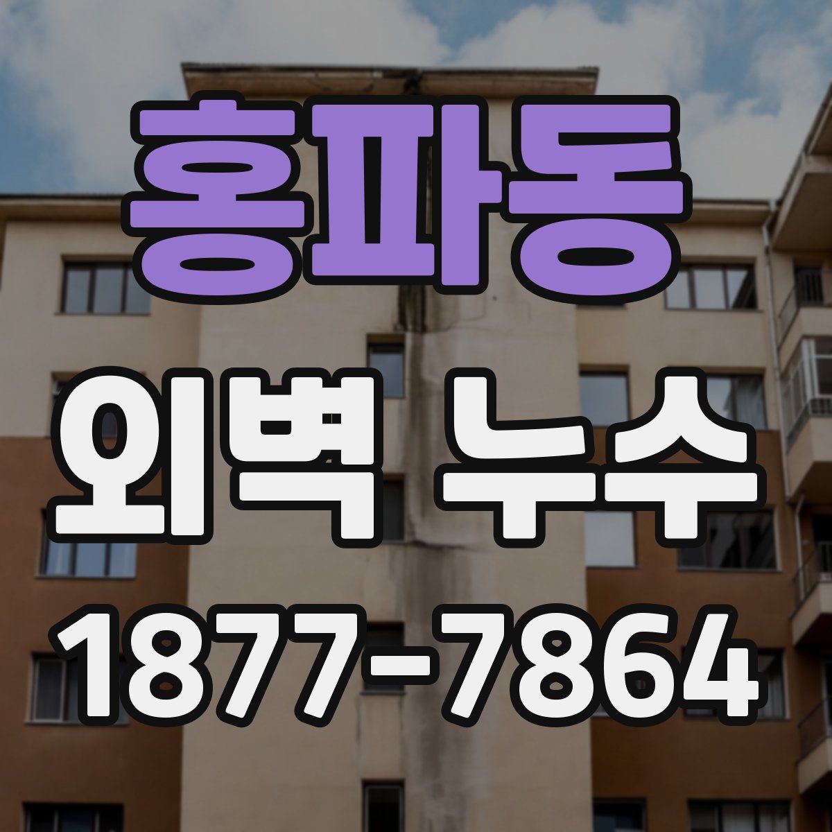 홍파동 외벽 누수