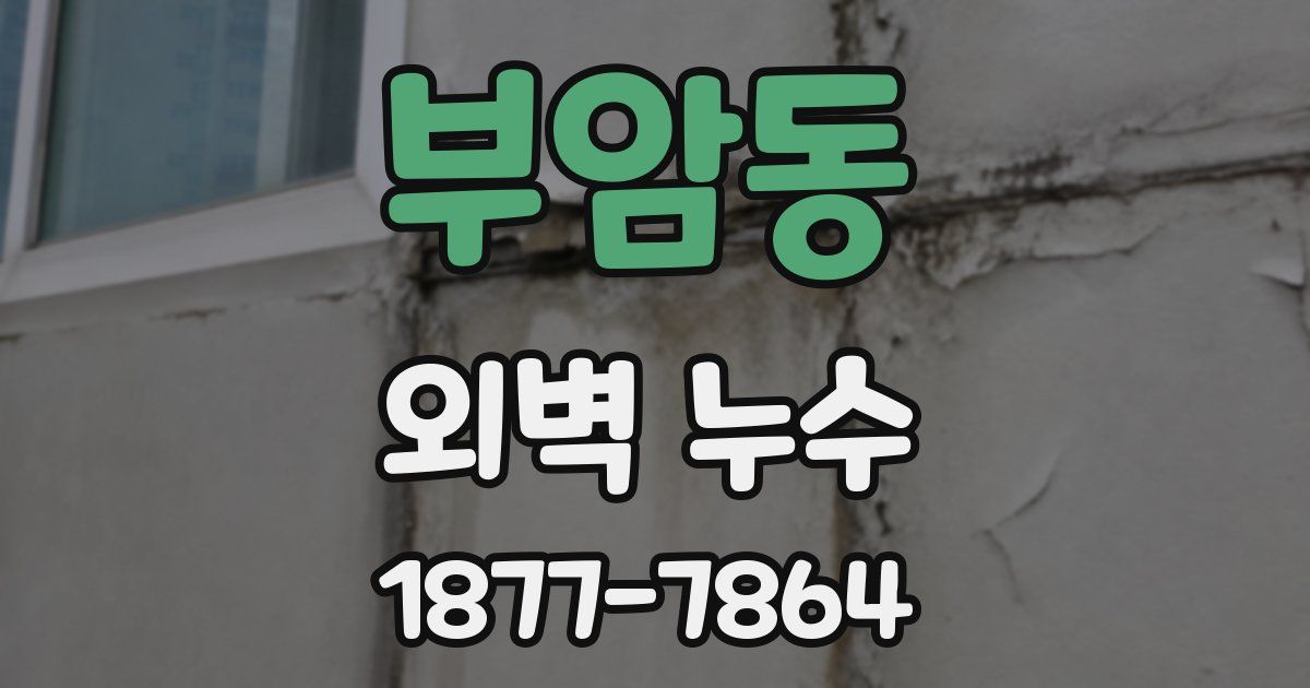 부암동 외벽 누수