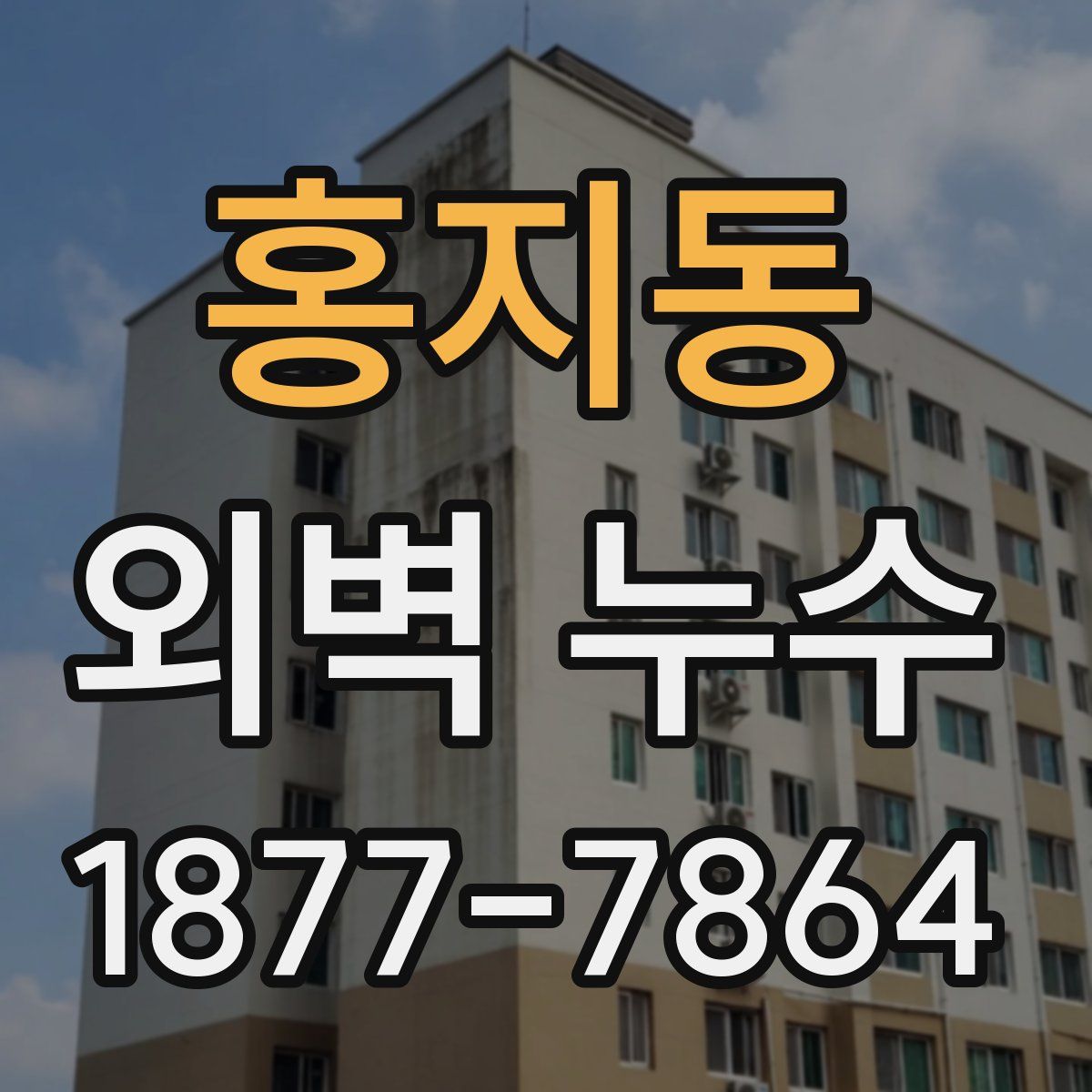 홍지동 외벽 누수