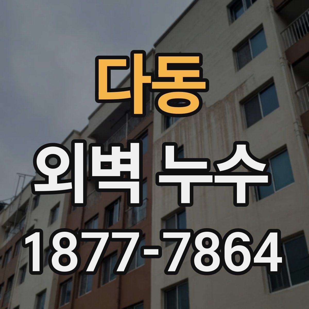 다동 외벽 누수