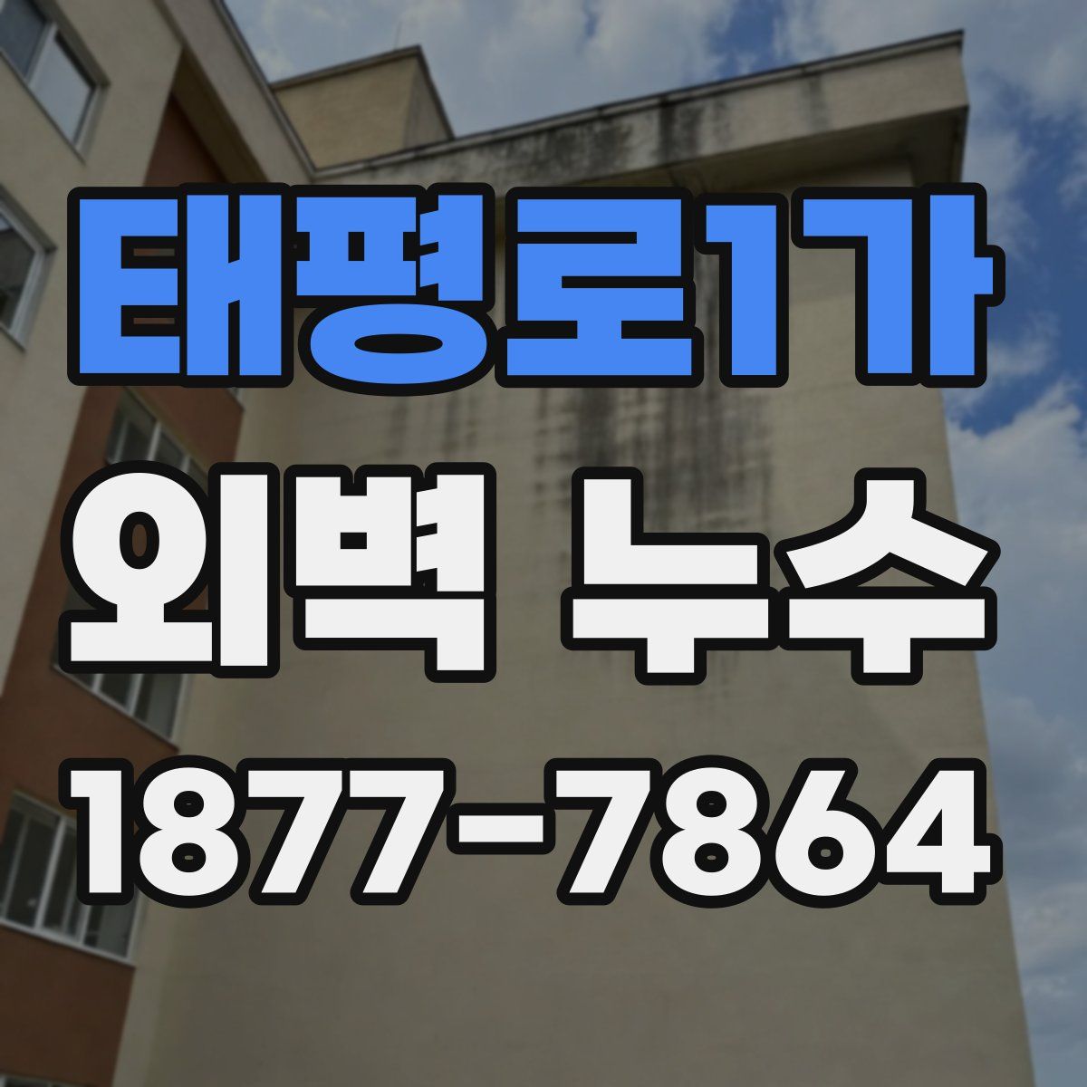 태평로1가 외벽 누수