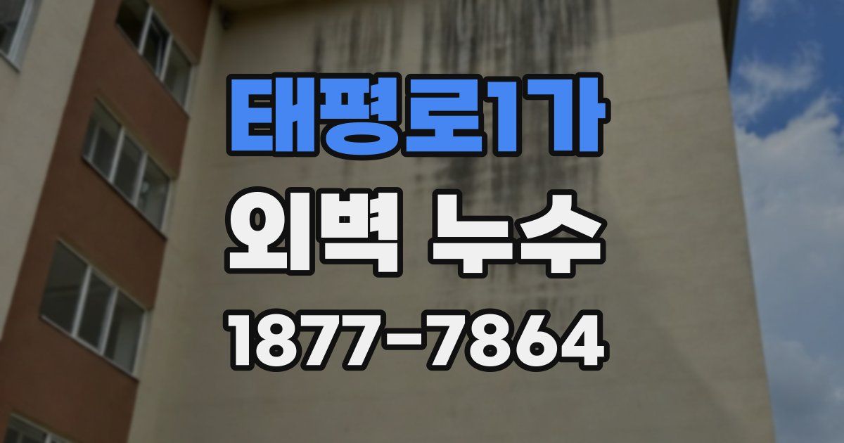 태평로1가 외벽 누수