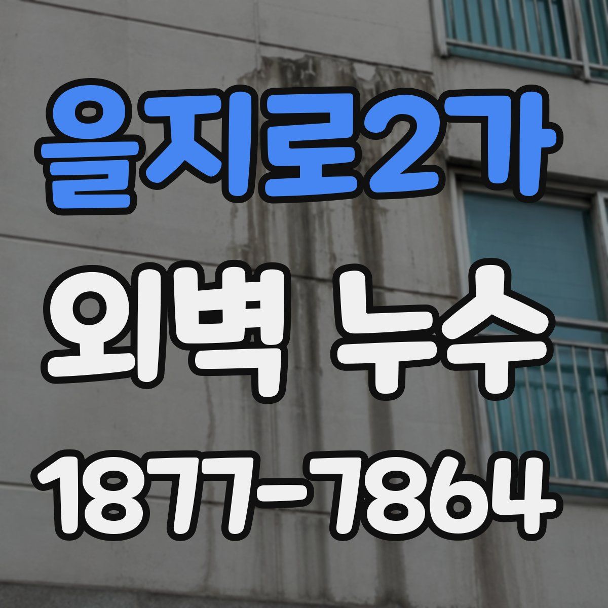 을지로2가 외벽 누수