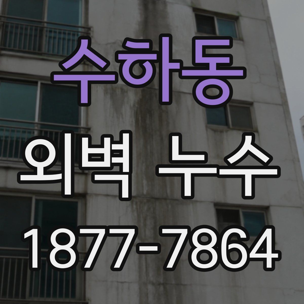 수하동 외벽 누수 현장 점검에서 보는 부분