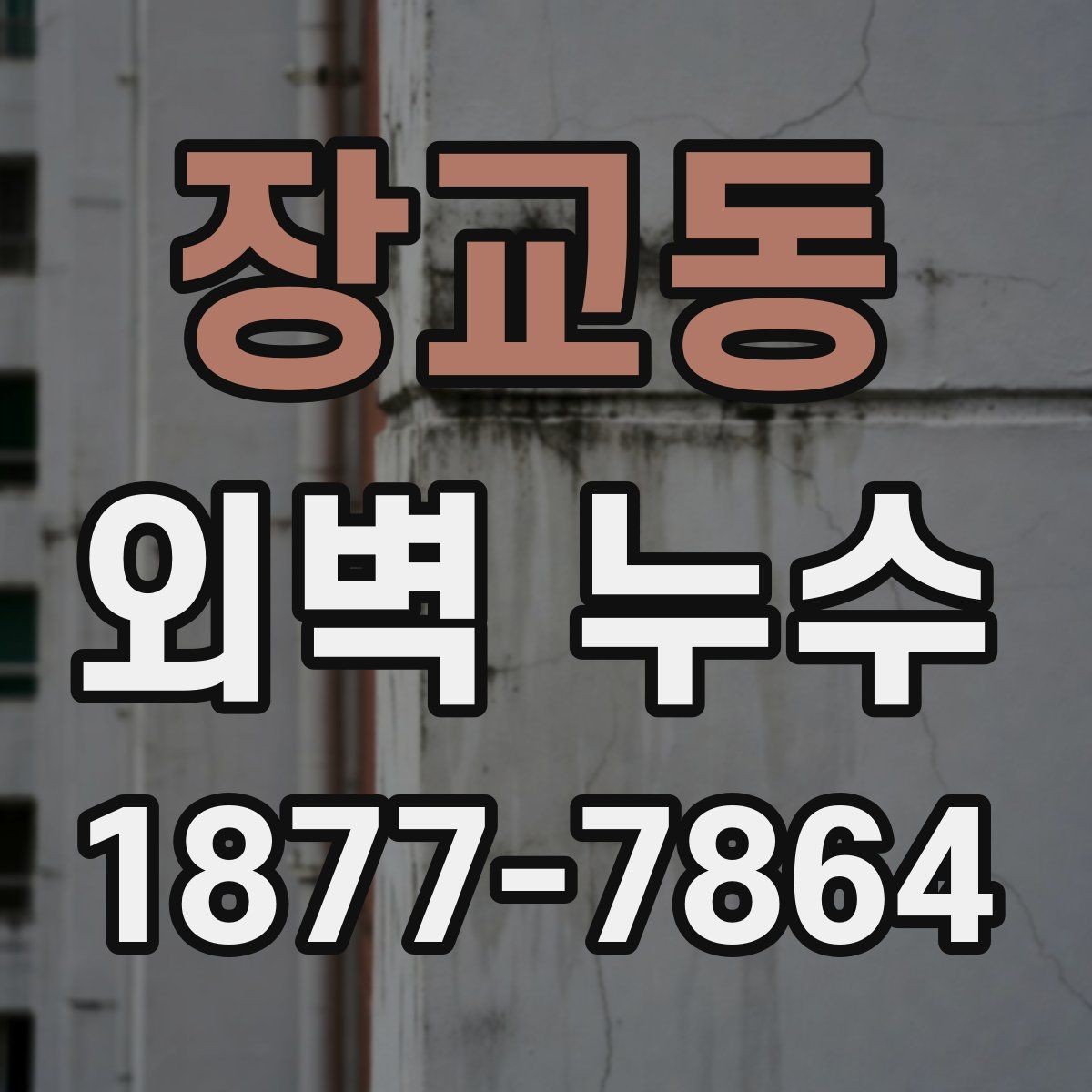 장교동 외벽 누수 원인을 찾는 실무적 접근