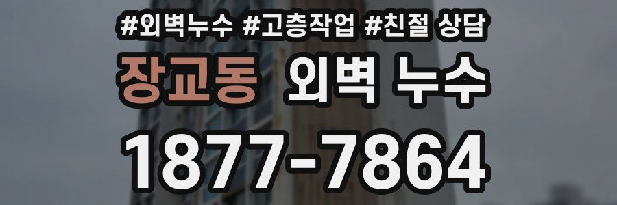 장교동 외벽 누수