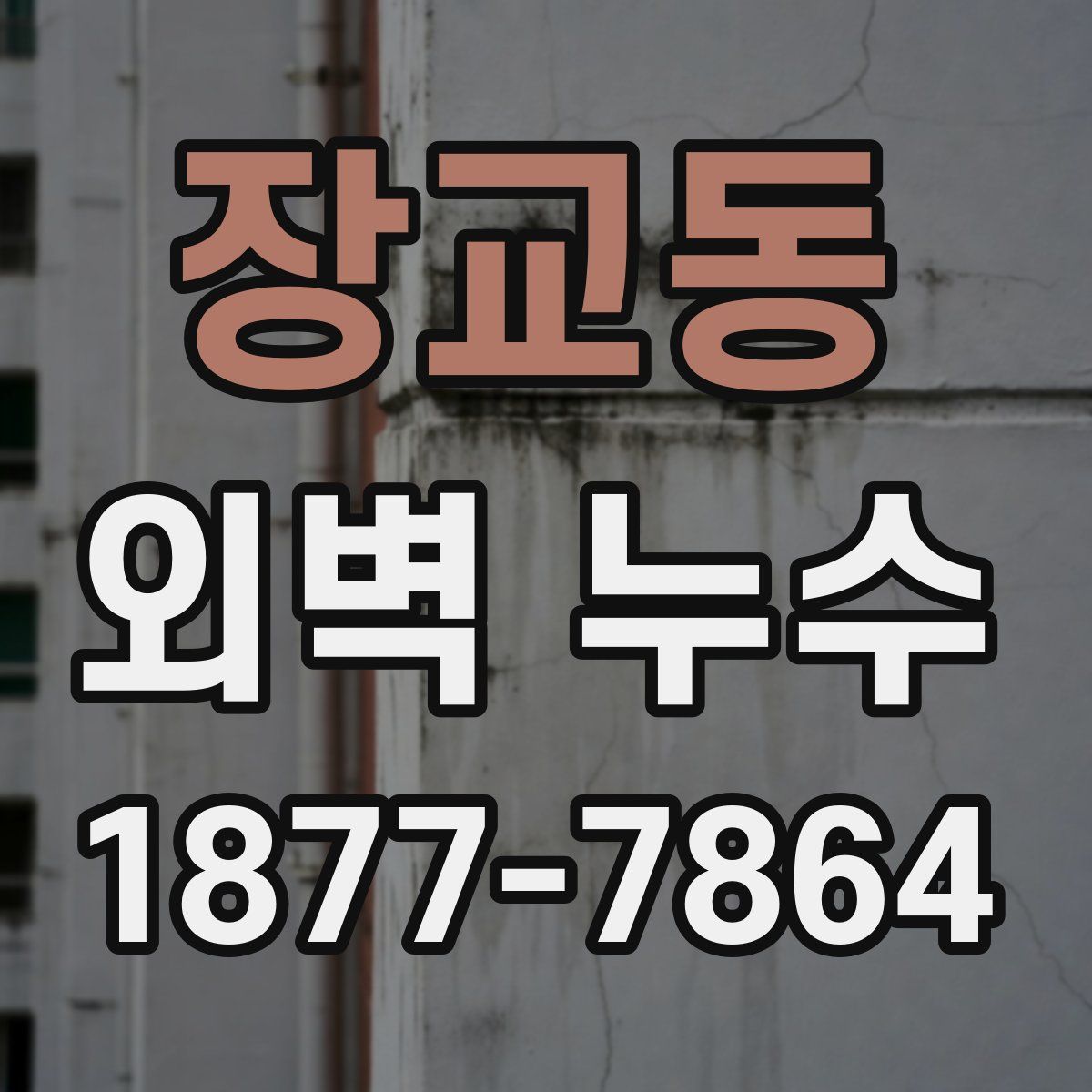 장교동 외벽 누수